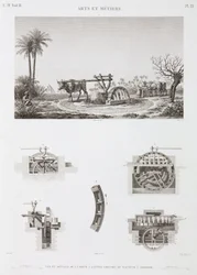 Animal-powered Irrigation, Egypt, c.1798