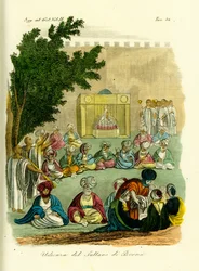 Audience with the Sultan of Bornu