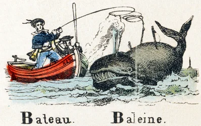 B - Boat Whale - Alphabet - Children
