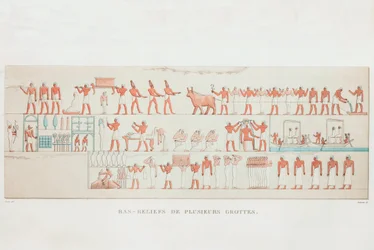 Book: Description of Egypt