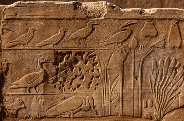 Botanical Garden of Thutmosis III with Relief Depictions of Plants and Animals, Karnak Temple, Luxor, Thebes, Egypt