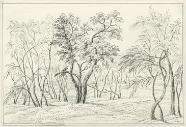 Cannock Chase