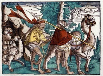 Caravan in Africa