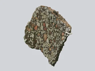 Carbonaceous chondrite (CBA). Fell in Gujba (Nigeria) in 1984. National Museum of Natural History, Paris.
