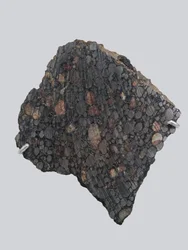 Carbonaceous chondrite (CBA). Fell in Gujba (Nigeria) in 1984. National Museum of Natural History, Paris.