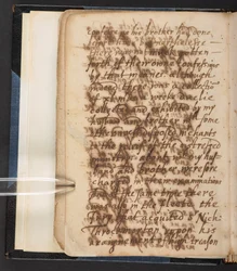 Certaine old stories recorded by an aged gentlewoman a time before her death, to be perused by her children and posterity