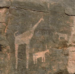Close-up of Prehistoric Paintings, Tenere Desert, Niger