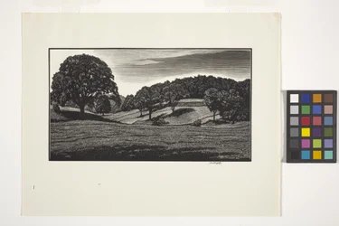 Country Scene
