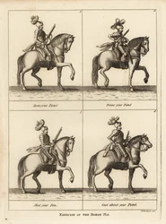 Exercise of the horse