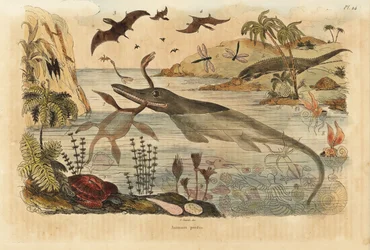 Extinct Dinosaurs, Ichthyosaur, Plesiosaur, Marine Animals, Pterodactyls, Lizards, Turtles, Insects, Fish, Squid, Molluscs, etc