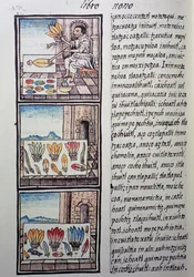 Feather processing after the Spanish conquest, page from Florentine Codex, General History of Things of New Spain, by Fray Bernardino de Sahagun