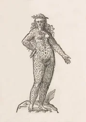 Woman of the Cinnamon Tribe