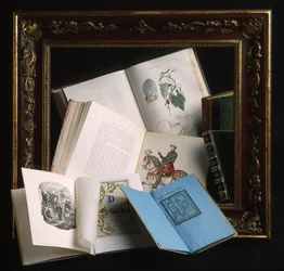 Frame in lacquered wood burgundy color and decorations with embossed motifs of gold, late 19th century. Various open books: anatomical atlas with hand coloured boards