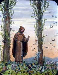 Francis