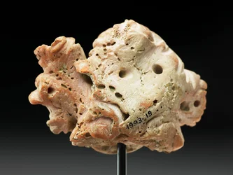 Head of Medusa, from Bactria or Gandhara, 2nd-1st century BC