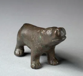 Hippopotamus
