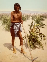 Hopi Man with a Hoe
