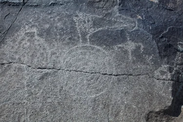 Indian Petroglyphs - Animal and Symbolic Representation - Petroglyph National Monument - Albuquerque, New Mexico, USA