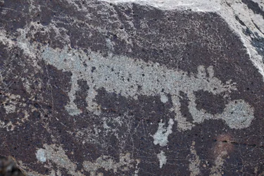 Indian Petroglyphs representing animals - Petroglyph National Monument - Albuquerque, New Mexico, USA (USA)