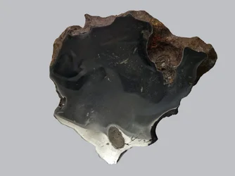 Iron meteorite (IAB). Found at Canyon Diablo (USA) in 1891. National Museum of Natural History, Paris.