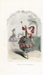 The pomegranate flower fairy dances - Etching by Charles Geoffroy, based on an illustration by Jean Ignace Isidore Gerard for Les fleurs animees