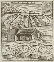 Preparation of saltpeter - Engraving from Description of ores and main mining methods, by Lazarus Ecker
