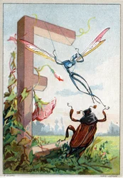 Letter E as Escarpolette. Mr. Marinier