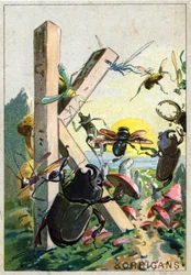 Letter K like Korrigans. Mr. Marinier