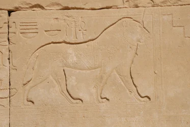 Lion Carving, Karnak, Luxor, Egypt