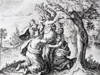Mattei in Ovid