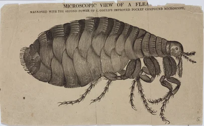 Microscopy