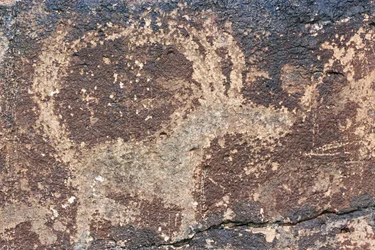 Mongolia, Gobi Desert, Rock Engraving