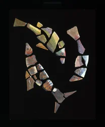 Mosaic fish tile fragments, c.1st century BC - 1st century AD