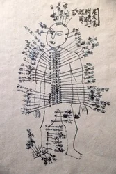 Museum of Traditional Vietnamese Medicine, The channels and vessels, Book of acupuncture, Ho Chi Minh City, Vietnam