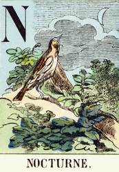 N: Nocturne - The Hunting Alphabet, c.1890