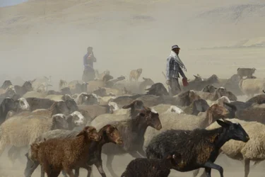 Nomadic Tents Between Tamar and Ashkhaneh, Iran 2022