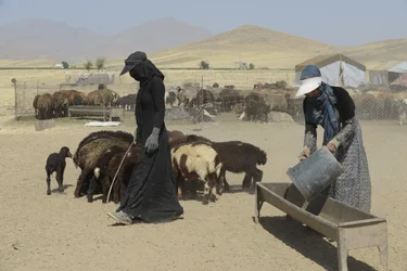 Nomadic tents between Tamar and Ashkhaneh, Iran 2022