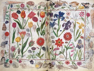 Pages from the Album Amicorum of Philipp Hainhofer