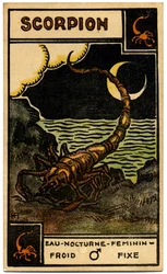 Paranormal. Astrology. Scorpio (the Scorpion). Astrologic Card from: Le Tarot Astrologique, by Georges Muchery, France