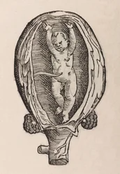 Non-Natural Birth with Hands Extended
