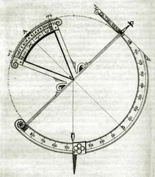 Plate Drawn from 