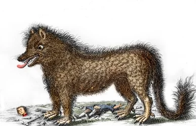 Representation of the beast of Gevaudan, the bones of his victims scattered around his legs. Engraving around 1764