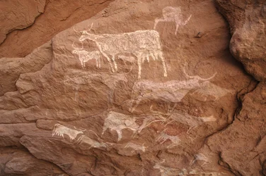 Rock Art, Prehistory: Rock Painting of Cattle in an Ornate Shelter, Uweinat Massif, Sudan (8000 to 3000 BC)