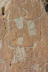 Rock engravings of the Vallee de Fontanalba/Corniformes emboites or cattle/Mercantour National Park/Tende/Alpes-Maritimes/France