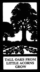 Tall Oaks from Little Acorns Grow