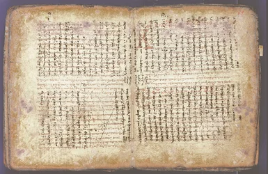 The Archimedes Palimpsest