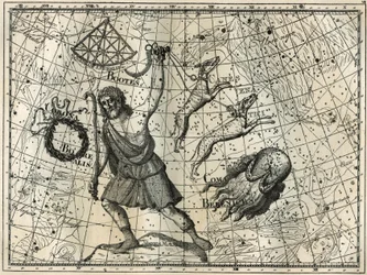 The Bower, the Boreal Crown, the hunting dogs, Berenice
