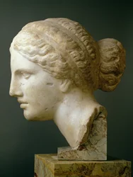 The Kauffmann Head, Roman