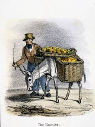 The Pannier, c 1845