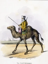 The Swift Messenger, c 1845